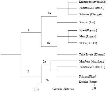Fig. 1  Dendrogram based on Nei's [21] Genetic distance: Method = UPGMA, Modified from NEIGHBOR procedure of  PHYLIP Version 3.5 from 6237 AFLP markers for 12 populations of O