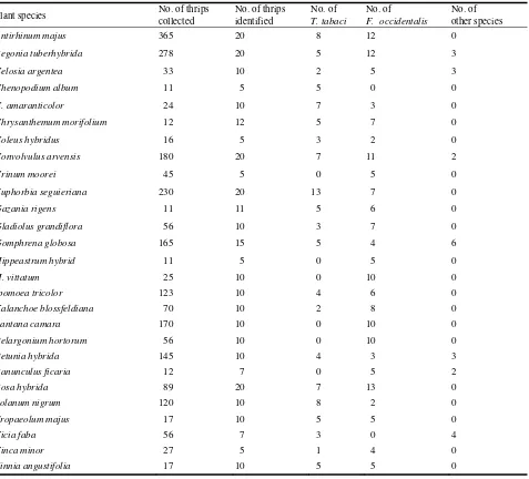 Table 2  The transmission efficiency of INSV by three days old nymphs and adults of three thrips species tested (10 individuals per test plant for 30 min inoculation feeding period)