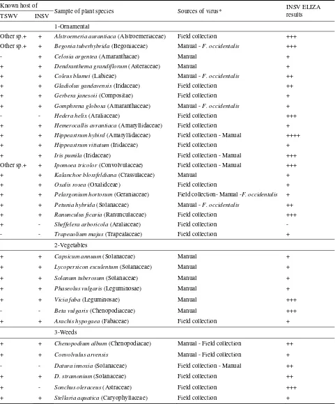 Table 3  Ornamentals suspected to be infected with INSV and the susceptibility of other hosts in Giza area