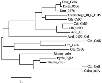 Fig. 2  Phylogenetic comparison of thermostable cellulases analyzed by ClustalW.  