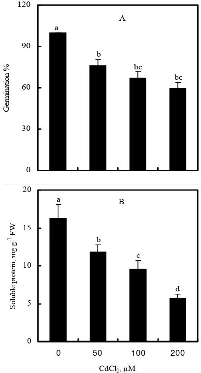 Fig. 1  Changes in the seed germination percentage (A) and soluble protein content of embryos (B) of wheat seeds exposed to CdCl2 for 48 h