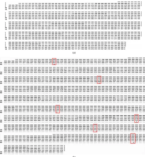 Fig. 4  Nucleic acid sequences obtained and aligned from the two butterfly rays for 16S rRNA (a) and cyt b (b) genes