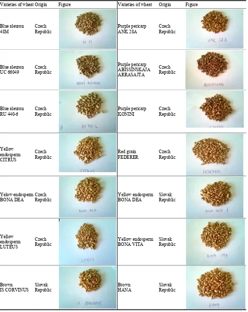 Figure Varieties of wheat 