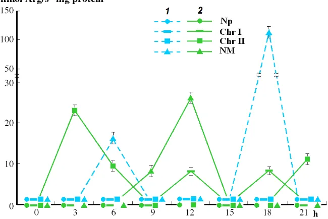 Fig. 1  Activity of  mature germs of winter (1) and transformed from it spring (2) wheat: (Np-nucleoplasm; Chr I-chromatin loosely bound to NM; Arg-X protease-sensitive to exogenous substrate protamin in suprastructures of G1 phase interphase nucleus Chr I