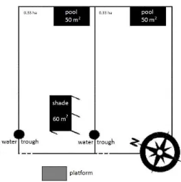 Fig. 1  Detail of experimental site (not to scale). 