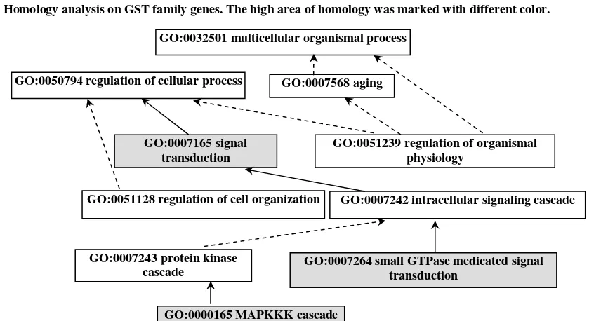 Fig. 6  Pathway graph of GO function analysis on biological process. Pathway of the gene participating in biological process was  indicated in the network