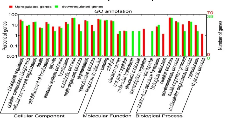 Fig. 3  Gene ontology annotation of candidate genes. Red bars indicated up-regulated genes and green bars represented  down-regulated genes