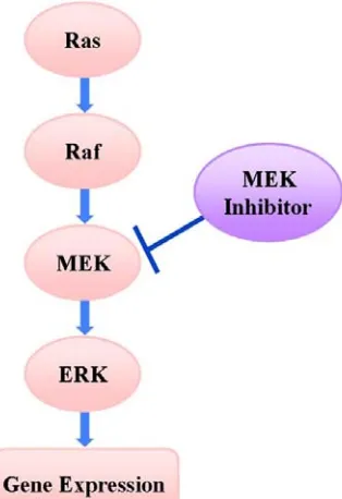 Fig. 2  Famous MEK inhibitor recently and PD184352  analogues: (a) PD184352; (b) PD318088; (c) PD98059;    (d) U0126