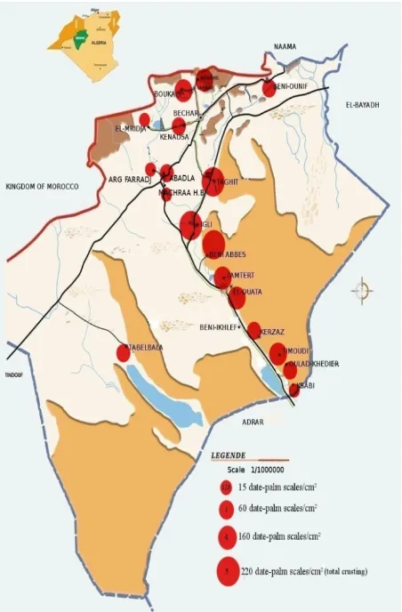 Fig. 7  Distribution of white scale in Saoura region. 