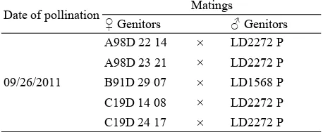 Table 1  Genitors used and controlled pollinations made at CEREPAH (Specialized Oil Palm Research Centre)