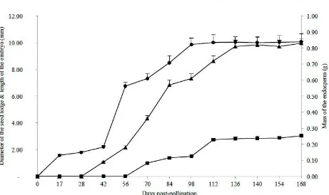 Fig. 4  Average parameters for growth of the seed of E. guineensis var. dura. 