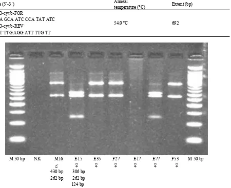 Table 1  Oligonucleotides for detection of partial cytochrome b Oryctolagus cuniculus (OCU07566 GenBank, NCBI, USA)