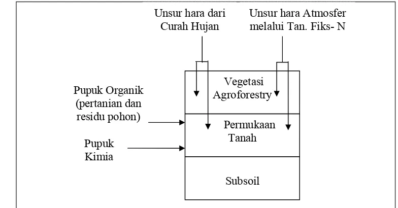 Gambar 3.  Masukan unsur hara buatan dan alami pada sistem agroforestry 
