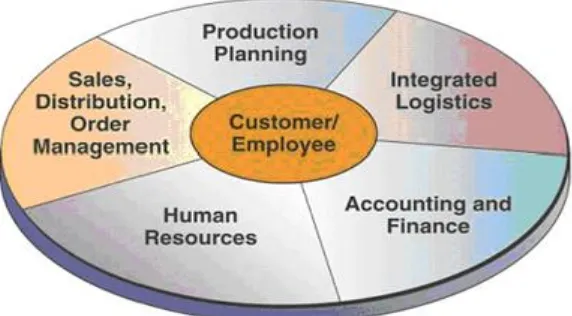 Gambar 4  Enterprise Resource Planning 