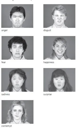 Gambar 2.1  Tujuh Ekspresi Emosi Universal (The seven universal expressions of 