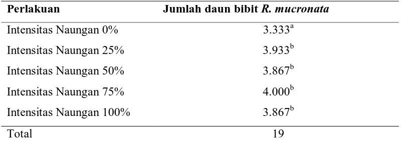 Tabel 3. Rata-rata jumlah daun bibit R. mucronata 
