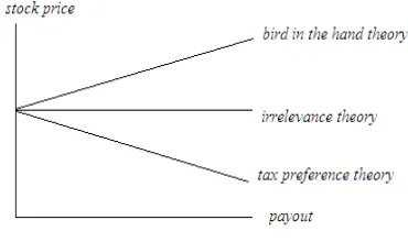 Gambar 2 Ilustrasi teori kebijakan dividen 