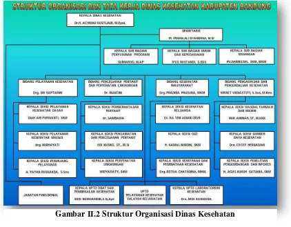 Gambar II.2 Struktur Organisasi Dinas Kesehatan 