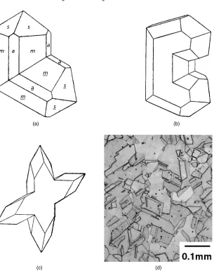 Fig. 1.21.Examples of twinned crystals: (a) rutile (TiO2) twinned on a {101} plane (from Rutley’sElements of Mineralogy, 25th edn, revised by H