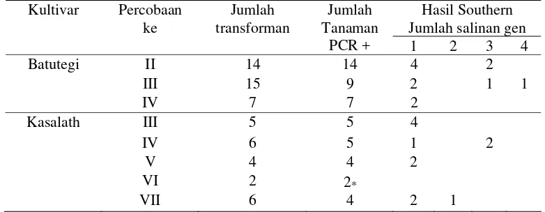 Tabel 2.  Integrasi  gen sisipan (PLEA + oshox6) pada generasi pertama (T0) padi cv. Batutegi dan Kasalath menggunakan primer dan pelacak hpt  