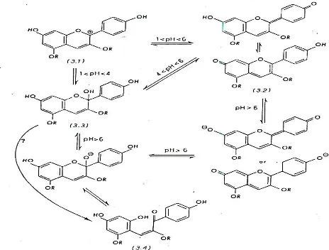Gambar 1. Bentuk kesetimbangan kation flavilium pada antosianin dalam berbagai rentang pH (Mabry dkk., 1987; Brouillard dan Delapor-te, 1977; Brouillard dkk., 1982)
