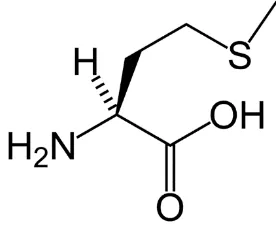 Gambar Struktur Asam amino Metionin