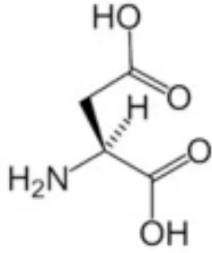 Gambar Struktur Asam amino Asam Aspartat