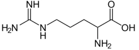 Gambar Struktur Asam amino Arginin