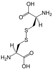 Gambar Struktur Asam amino Histidin