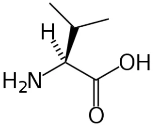 Gambar Struktur Asam amino Isoleusin