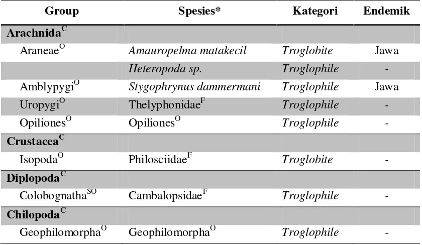 Tabel 1.  ArthropodaTerestrial penghuni Gua Anjani 