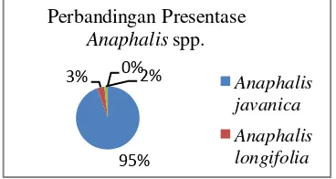 Tabel 1. Daftar Anaphalis spp. yang ditemukan di lereng selatan Gunung Merbabu, Selo, Boyolali, Jawa Tengah