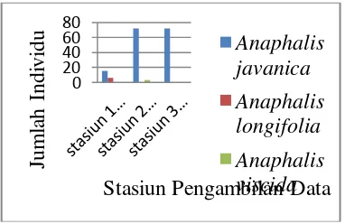 Tabel 2. Nilai densitas relatif, frekuensi relatif, dan nilai penting Anaphalis spp. pada lokasi sampling di Lereng Selatan Taman Nasional Gunung Merbabu