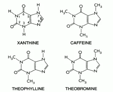Gambar 1. Struktur kimia kafein