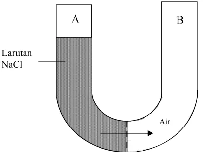 Gambar 2.4 Osmosis. Efek penambahan zat terlarut yang impermeabel pada satu sisi dari membran 