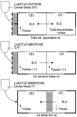 Gambar 2.6 Efek pemberian secara intravena dari larutan isotonik, hipotonik, hipertonik pada distribusi air diantara bagian-bagian cairan tubuh