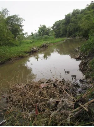 Gambar 3. Sampah di sepanjang tepi sungai Opak. 