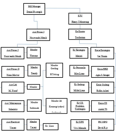 Gambar 1. Struktur Organisasi AEK Mill