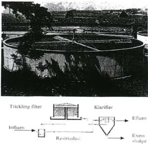 Gambar 2.2. Skema Trickling Filter