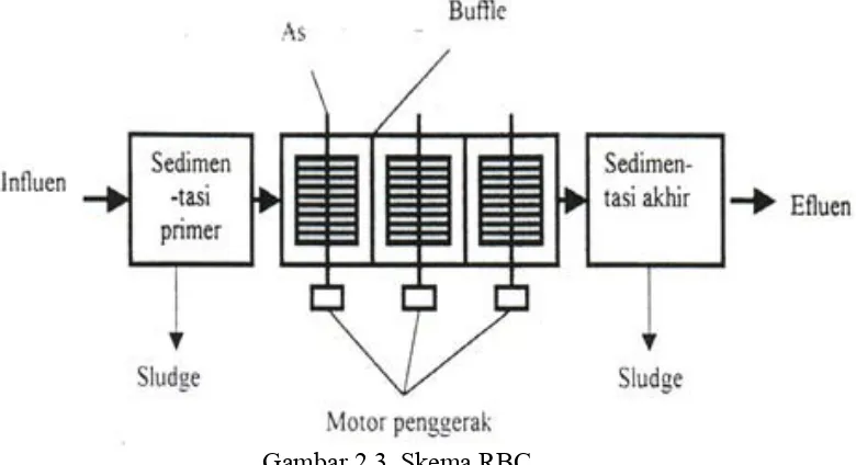 Gambar 2.3. Skema RBC