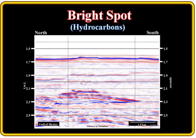 Gambar : Bright spot pada data seismik 
