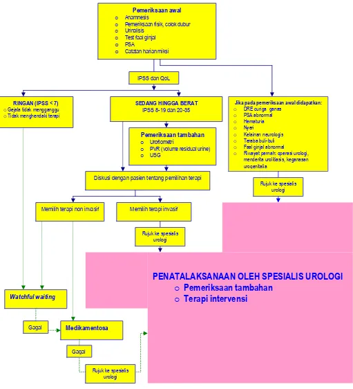 Gambar 1: Skema pengelolaan BPH di Indonesia untuk dokter umum dan spesialis non urologi