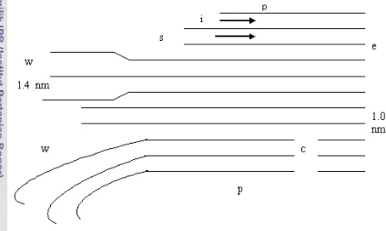 Gambar 4. Model Tempat Pertukaran K pada Mineral Liat Tipe 2:1, yaitu Posisi:  planar 
