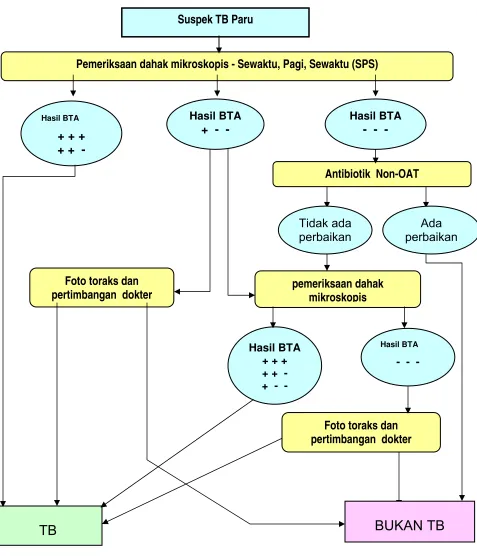 Gambar 4.1.  Alur Diagnosis TB Paru 