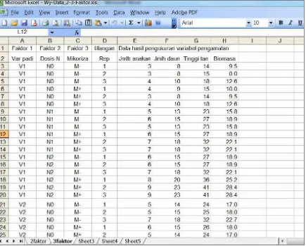 Gambar 1.33.  Contoh data 3 faktor yang disiapkan di jendela worksheet MS Excel, yang kemudian dapat dipindahkan ke jendela data CoStat for Windows 