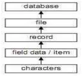 Gambar 2.1 Jenjang data 