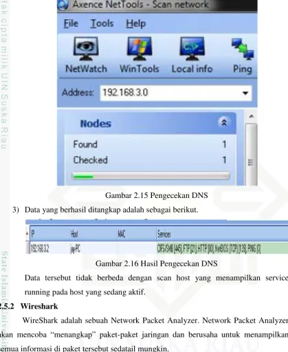 Gambar 2.15 Pengecekan DNS