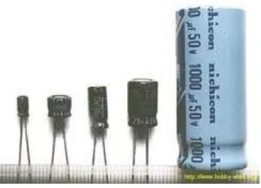 Gambar 2.10  Electrolytic Capacitor (ELCO) 