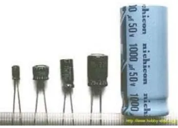 Gambar 2.10  Electrolytic Capacitor (ELCO) 