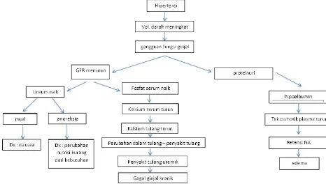 Tabel 2.3 Penyebab CKD yang Menjalani Hemodialisis di Indonesia